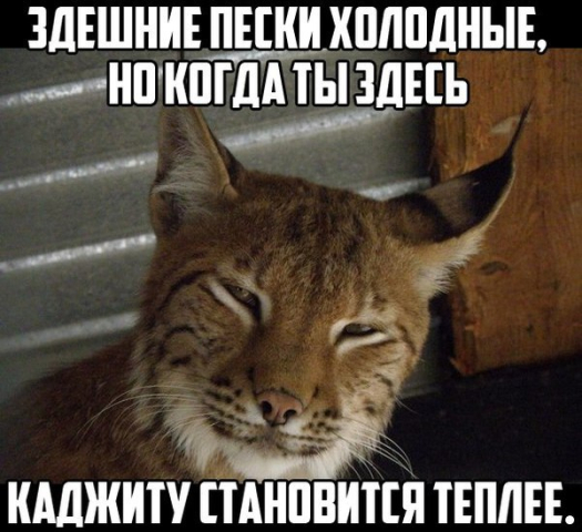 med_gallery_73407_50_15946.jpg