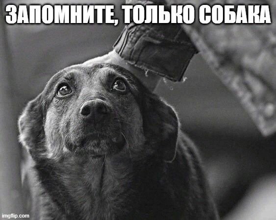 SgyfzhFWfcUcSmoqLf_8fr97ZoXdQID_R9unmpNknzb-l4jvO3YtRqCg5JiJXh2kzowWSWVLIZLVxTb-75pAkMd-.jpg.f9a8b6ee9520b42da4fd67227a485e73.jpg