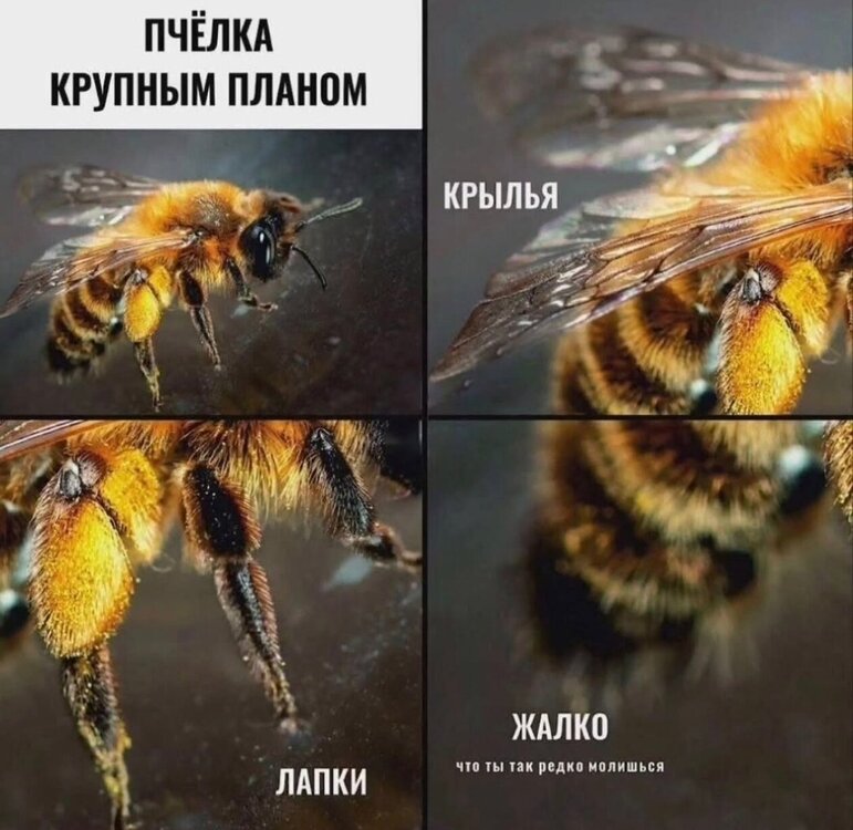 x6_Fy0O2dOFV74TwNfqGwQPe7Z7aKfnmtBKGkjJs3AkoA0ULlxJSmqF75zKzCwYxv-vTqpMP0CqmKkAZ8PUIYWoW.thumb.jpg.74d471ca565b3630eaab87587f3e4d3f.jpg