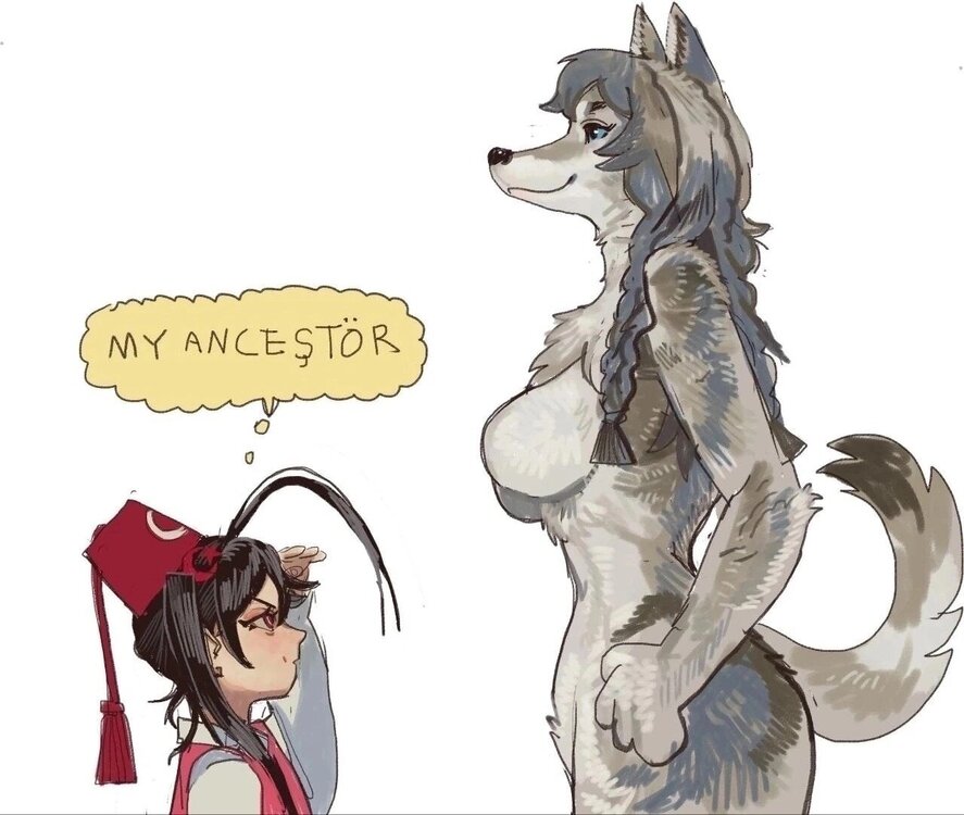image.thumb.jpeg.e16b34f153663ace6d5ecb6473ccfd3d.jpeg