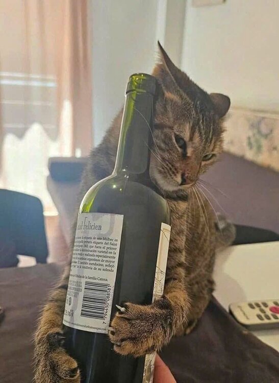 Без названия.jpg
