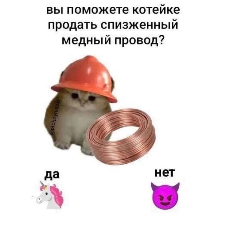 image.jpeg.57bfa882e5ed704ff767bd67755bf6bd.jpeg