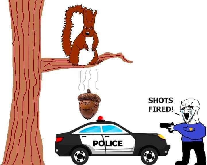image.jpeg.bc9bb9a8f45c6796a7297bddc7d53a07.jpeg
