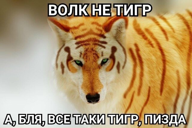 image.jpeg.e30520e4f08b644093b2b844526e7c76.jpeg