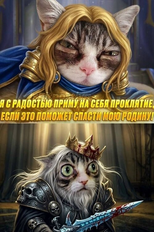 image.thumb.jpeg.aa07b23dc8ab55dcc3e026912681cce9.jpeg