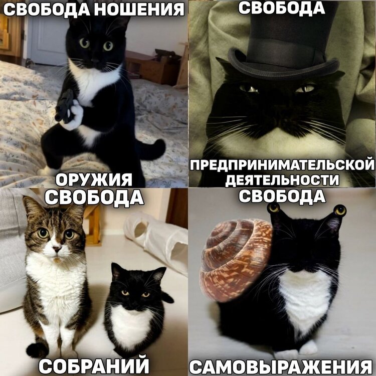 image.thumb.jpeg.e0e579672ed49788fc89ad3b15ffe616.jpeg