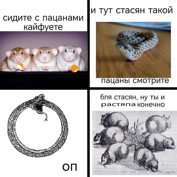 image.jpeg.331546ffe6fc1b17481ad3f6ff3bc99e.jpeg