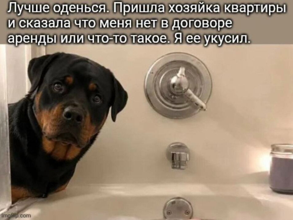 image.jpeg.3c078f74955e33bd2f8ed69d00c814e7.jpeg