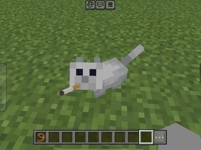 image.jpeg.62738b748a9dff3ccbcacb71c62c84f8.jpeg