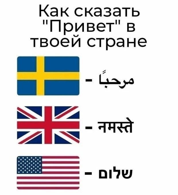 image.jpeg.9c890a9fc43767bde8f11ec5d6c0cbb6.jpeg