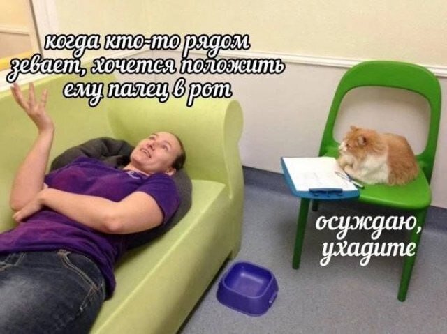 image.jpeg.ea2d3b7a5da5a1daa946f7e8bfc81141.jpeg