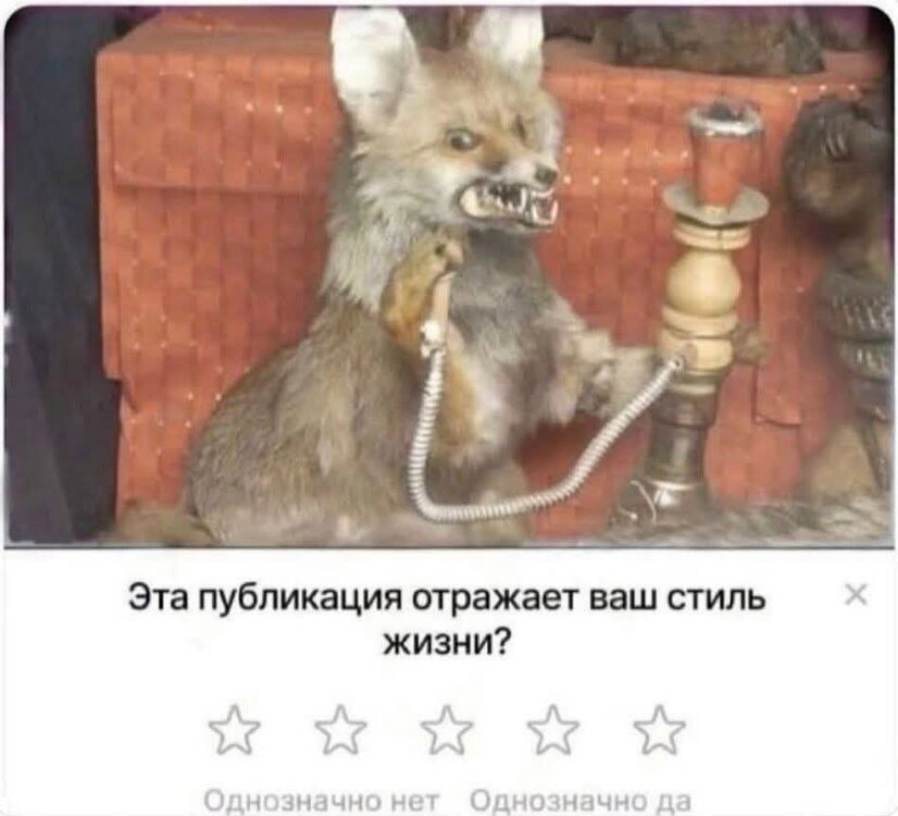 image.thumb.jpeg.345e27dd87952b8856901745eabe5e88.jpeg