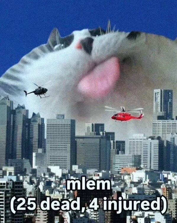 image.thumb.jpeg.55919946e90e0fc91cd3938de2331bda.jpeg