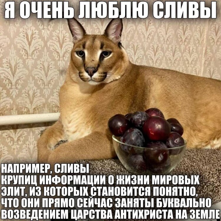 image.thumb.jpeg.5e5dbfa9e4caa717c6f23835a74ddae8.jpeg