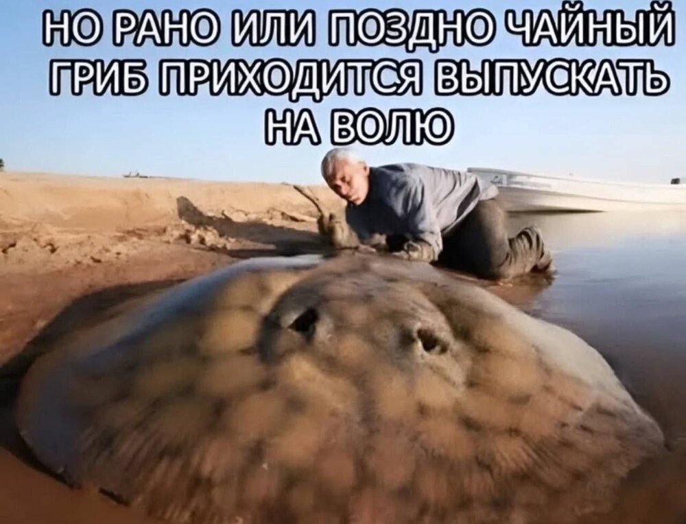 image.thumb.jpeg.7e5c46160b6f544ecc4c490f61e8320d.jpeg