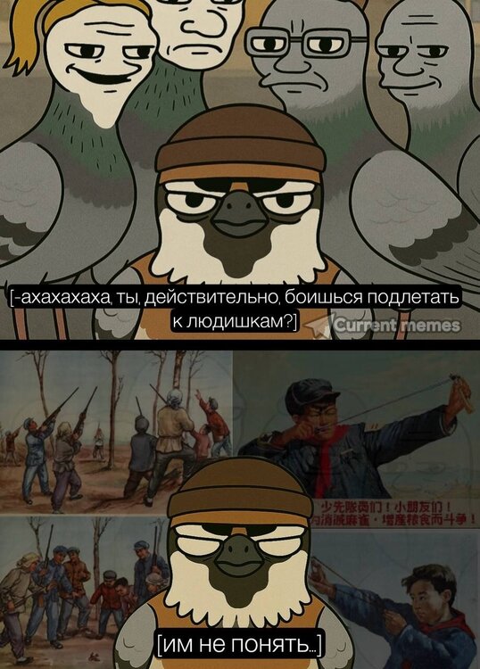 image.thumb.jpeg.87d434ba9548cc706c6185f3f1230cb4.jpeg