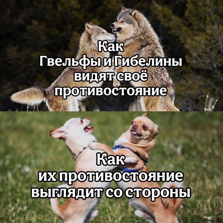 image.thumb.jpeg.ad65e98b3b70f817f384cd02f70aab31.jpeg