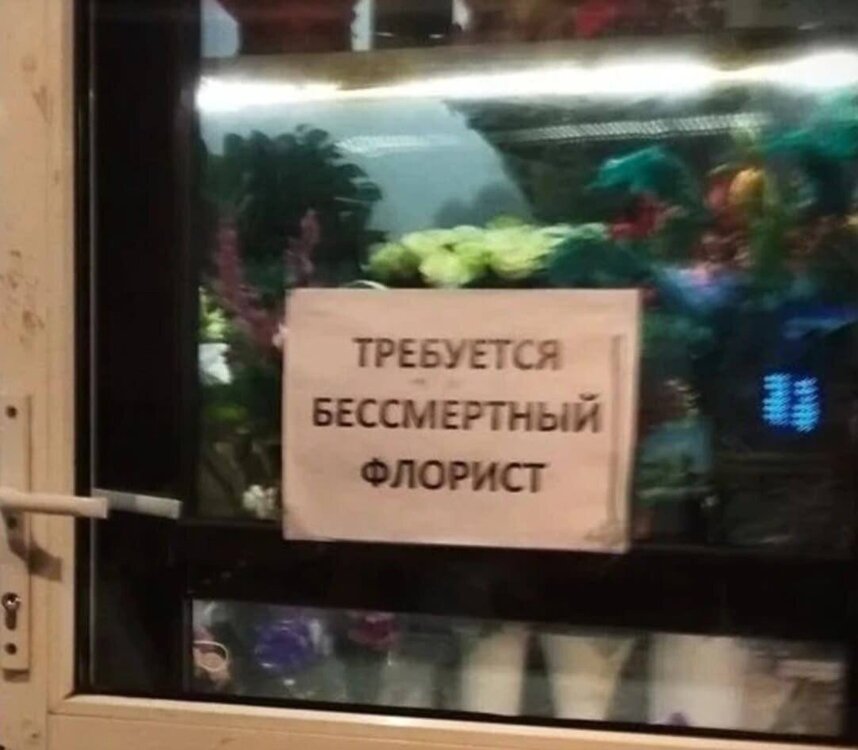 image.thumb.jpeg.bc54edf8b90e6ab6d4bd4239fdbaf5cd.jpeg
