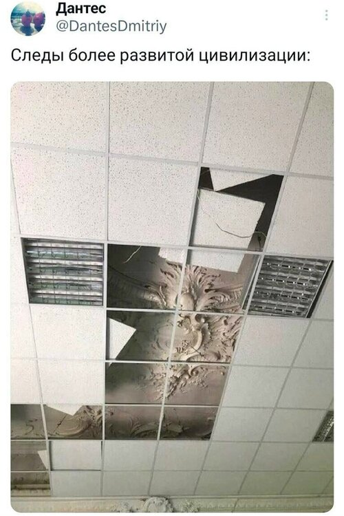 image.thumb.jpeg.c786c24ccda3fda6fc676c40c620cb66.jpeg