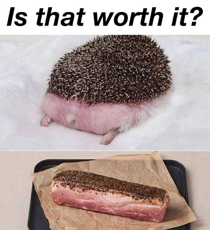 image.thumb.jpeg.dff8f709203f4e0d95ffa7b2b502125f.jpeg