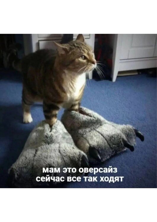 image.thumb.jpeg.e935de30daba866cae42c52f876ee836.jpeg