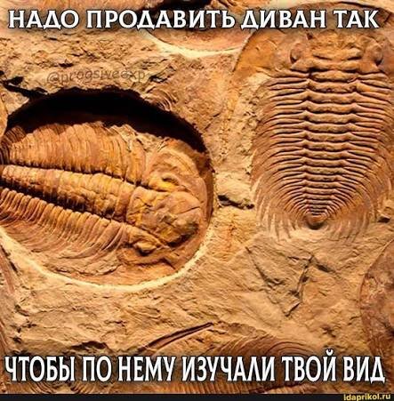 images(13).jpg.53eec0a4812619d829355de5c4c0bc17.jpg