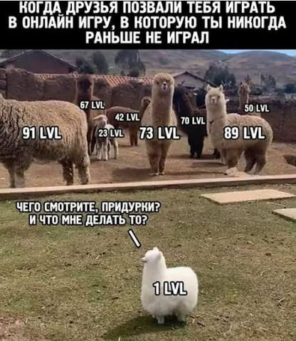 images.jpg.3e927d11ed22b7b8d163eff37bb0eb28.jpg