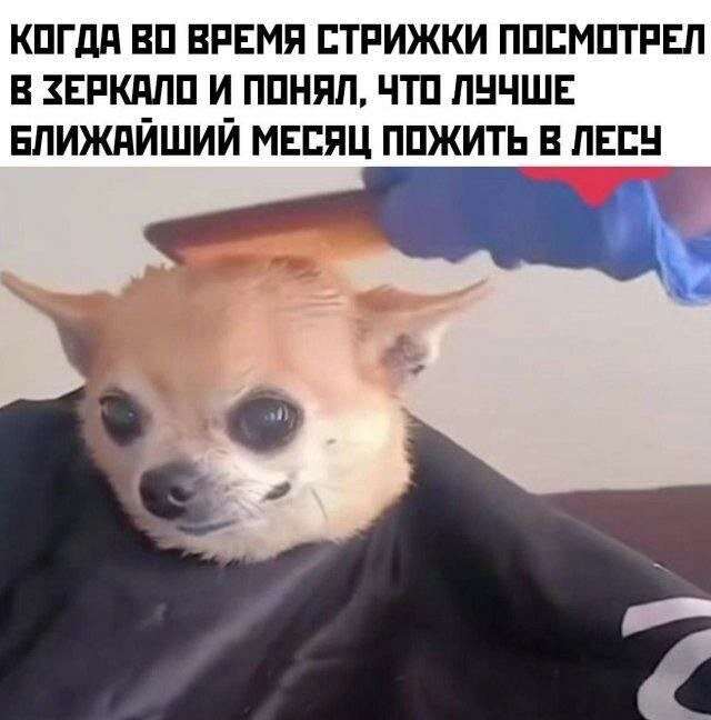 image.jpeg.51792a6889f853a6e64f25e3b8fa03c2.jpeg