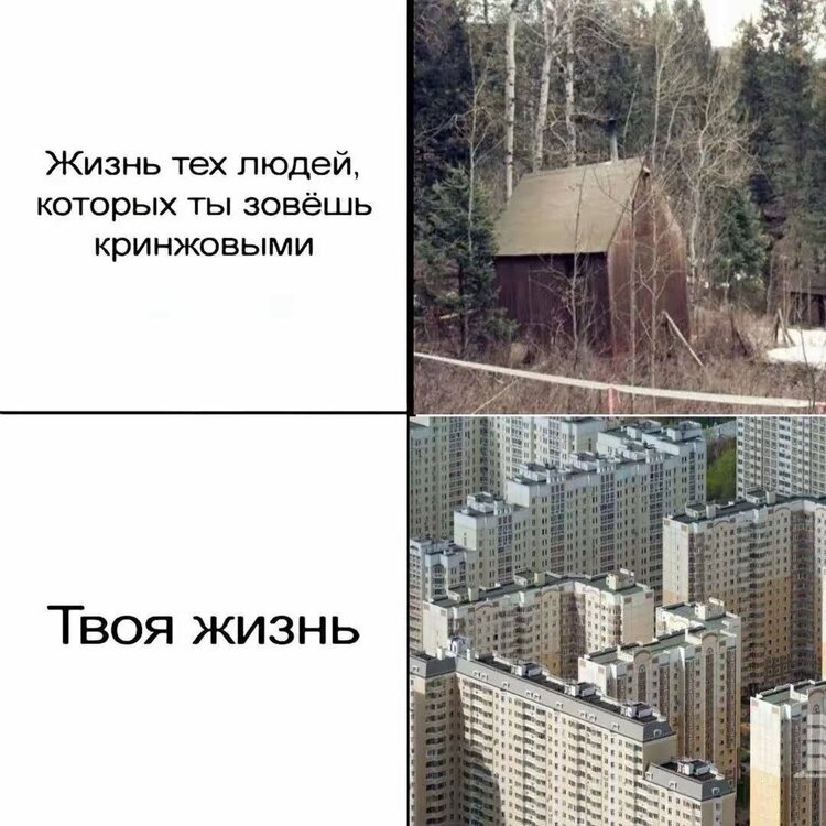 image.thumb.jpeg.3103254e8154a602117bcb940d9c9ac3.jpeg