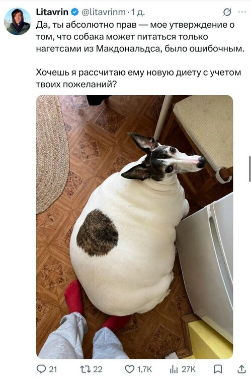 image.thumb.jpeg.b72af701502495d4396467cbb0514b34.jpeg