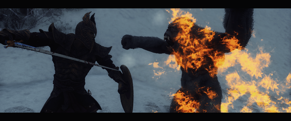 The Elder Scrolls V  Skyrim Special Edition Screenshot 2026.09.11 - 23.24.52.45.png