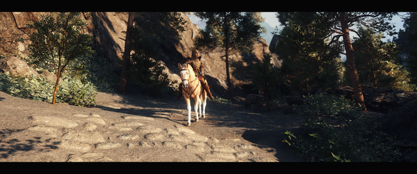 The Elder Scrolls V  Skyrim Special Edition Screenshot 2026.09.12 - 11.31.39.58.png