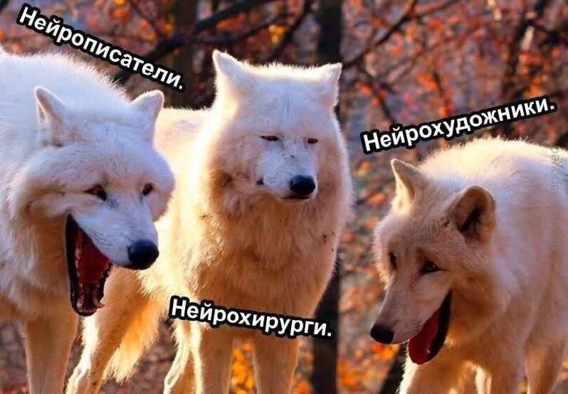 image.jpeg.8595b44065f4c5a7418d8fa2727b2564.jpeg