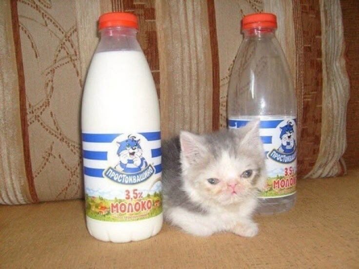 image.jpeg.9ab99a852b0b411230deb2947ba7ede1.jpeg