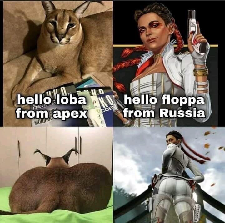 image.jpeg.ae6058848bbf9b399d54c9c2408ba3a4.jpeg