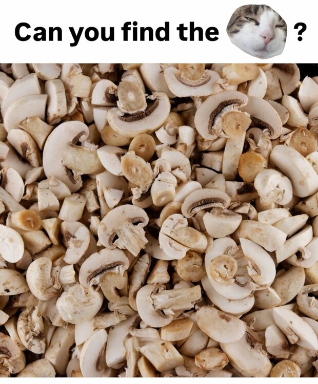 image.thumb.jpeg.298e03ae497d30ad134c67c90380dcf9.jpeg