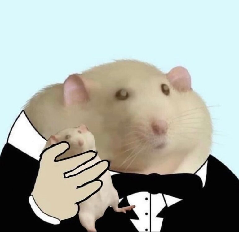 image.thumb.jpeg.36f0681209b529994b2c84ca7869e7e9.jpeg