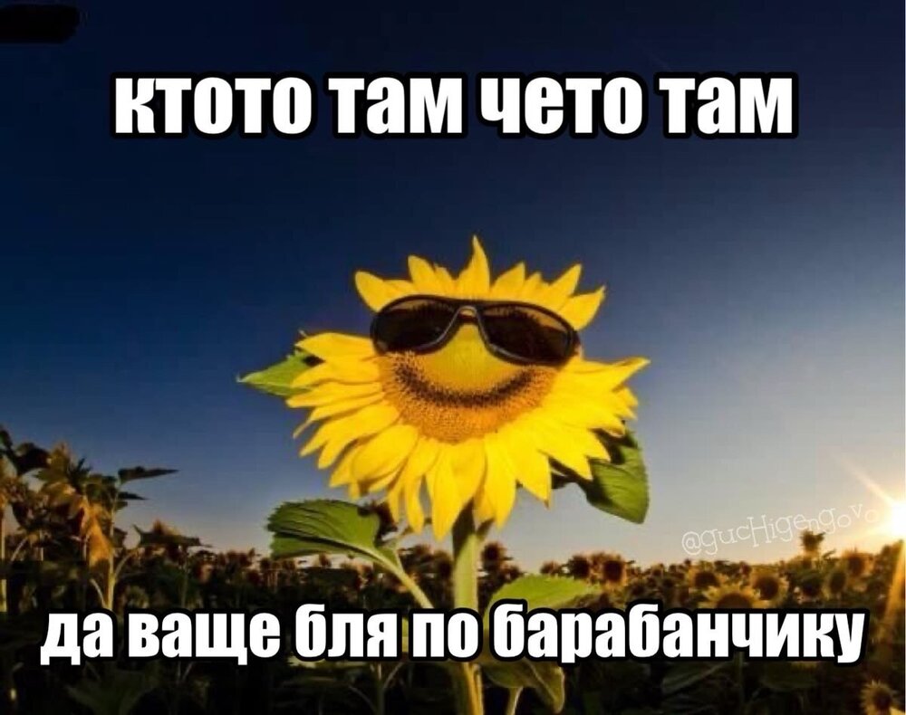 image.thumb.jpeg.759ad2f572c77a5ad5f71ff25ff78774.jpeg