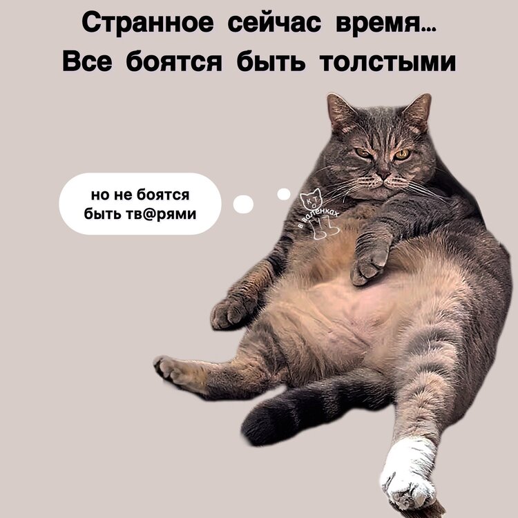 image.thumb.jpeg.8aae9d3a6986efadcee5e4b5009bc067.jpeg