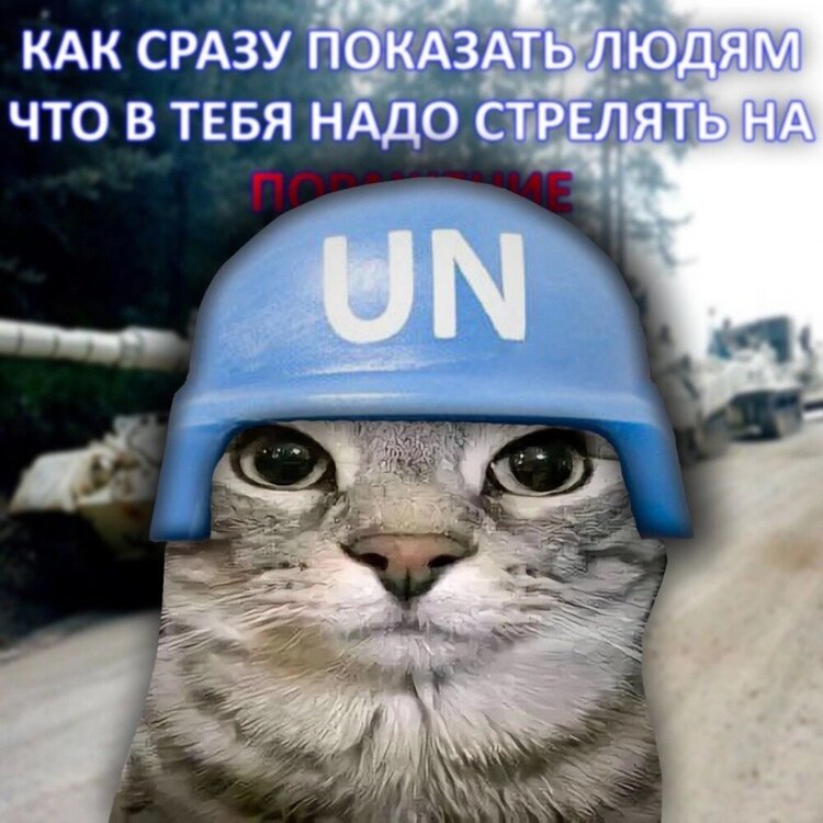 image.thumb.jpeg.a3f931e36b53cabb331c3510c1e8da06.jpeg