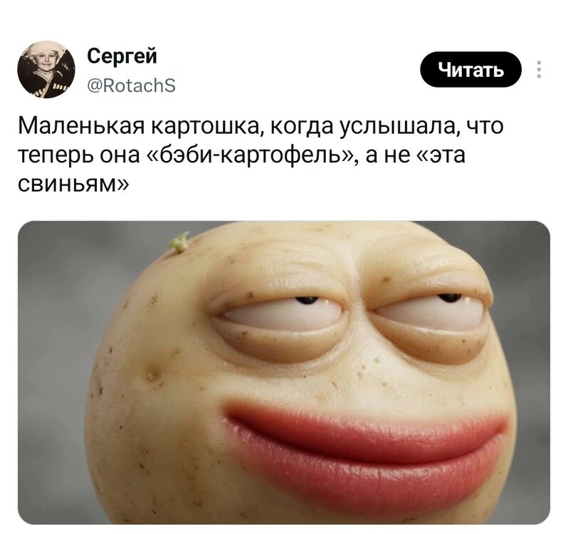 image.thumb.jpeg.b595087fcf61ac15e1162462010bef36.jpeg