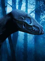 Аватар пользователя NecroDog