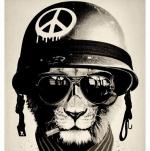 Аватар пользователя Leha520