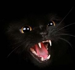 Аватар пользователя 78sanchez_z