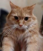 Аватар пользователя mylordandru