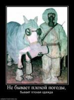 Аватар пользователя Старый Хорь