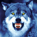 Аватар пользователя Cezier