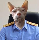 Аватар пользователя Kongressman