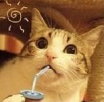 Аватар пользователя Nicagira