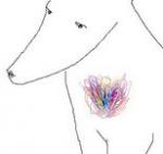 Аватар пользователя LeeLees